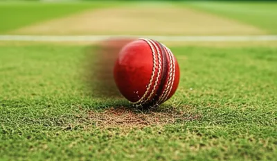 Illustration pitches - Image 1