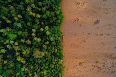 Illustration juxtapose - Image 1