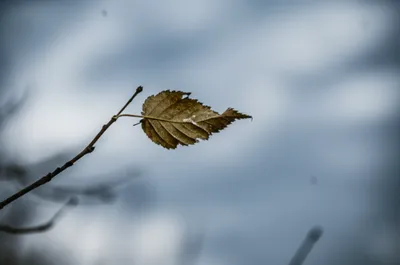 Illustration trembling