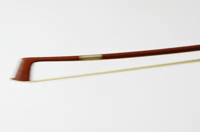 Illustration tremolando