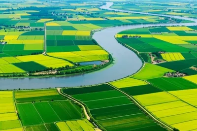 Illustration derive - Image 1