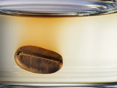 Illustration percolated - Image 1