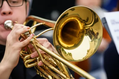 Illustration tuba - Image 1