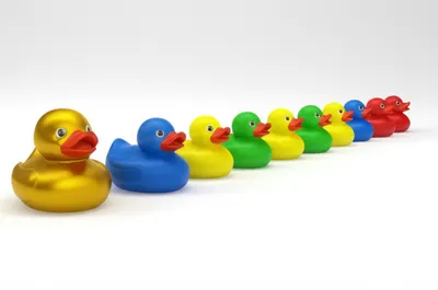 Illustration ductile - Image 1