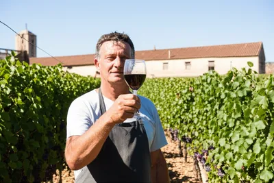 Illustration vintner - Image 1