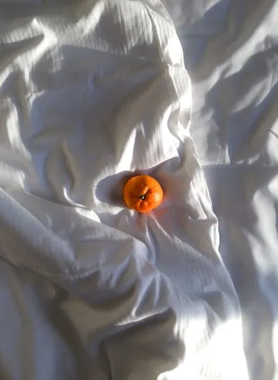 Illustration mandarine - Image 2