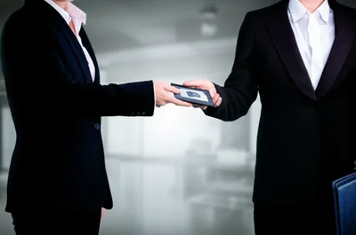 Illustration deputise - Image 1