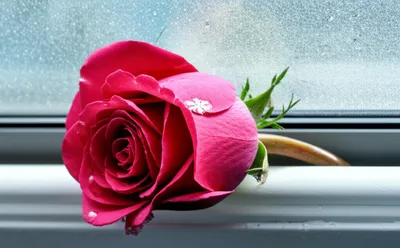 Illustration cools - Image 1