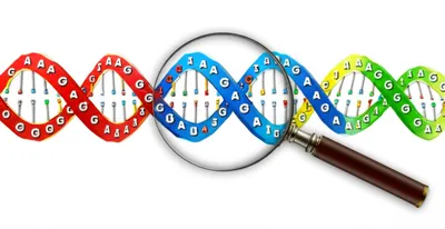 Illustration frames - Image 1