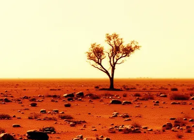 Illustration outback - Image 1