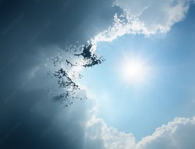 Illustration qualifying - Image 1