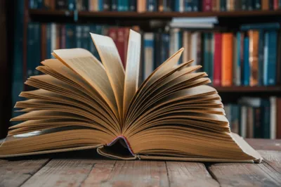 Illustration folios - Image 1