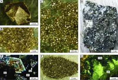 Illustration separate - Image 3