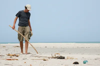 Illustration beachcomber - Image 1