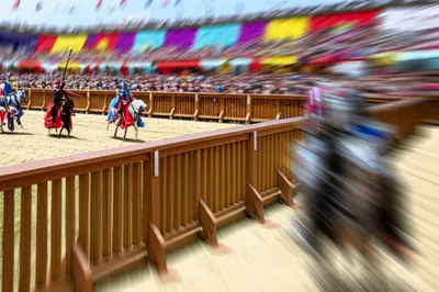 Illustration lists - Image 1