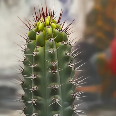 Illustration edgy - Image 1