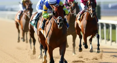 Illustration jockeys - Image 1