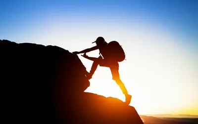 Illustration bucks - Image 1