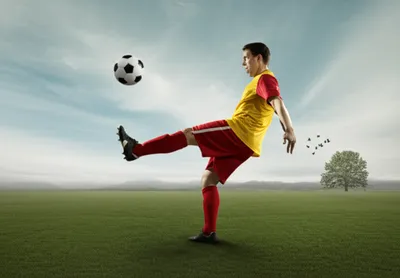 Illustration slices - Image 1