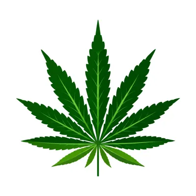 Illustration leaf - Image 1