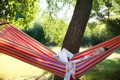 Illustration comfortable - Image 1