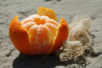 Illustration skinned - Image 1