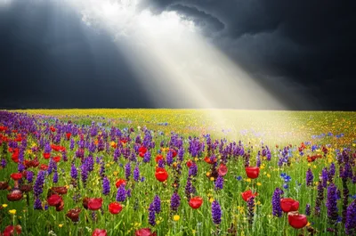 Illustration edifying - Image 1