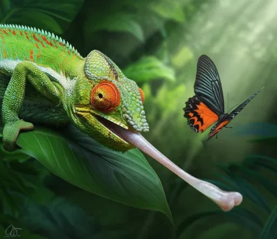 Illustration projected - Image 1