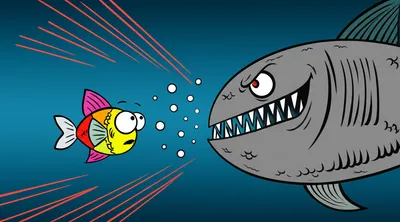 Illustration baits - Image 1