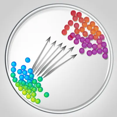 Illustration migration - Image 1