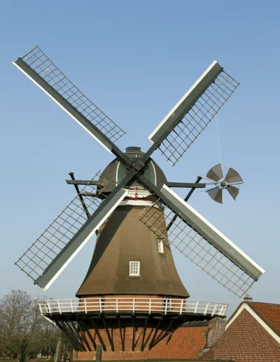 Illustration fan - Image 1