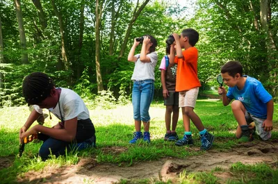 Illustration scouts - Image 1