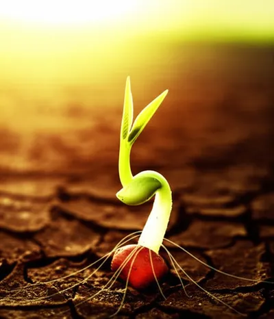 Illustration supposes - Image 1