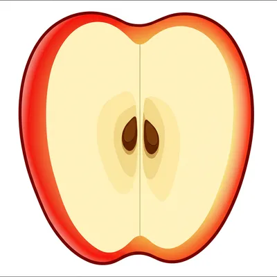 Illustration exterior - Image 1