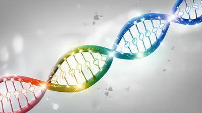 Illustration associations - Image 1