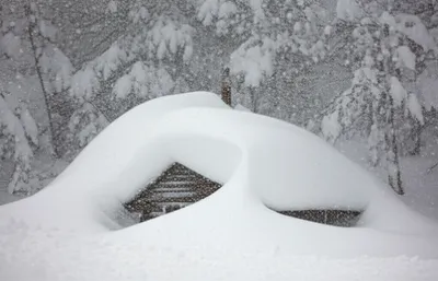 Illustration dumps - Image 1