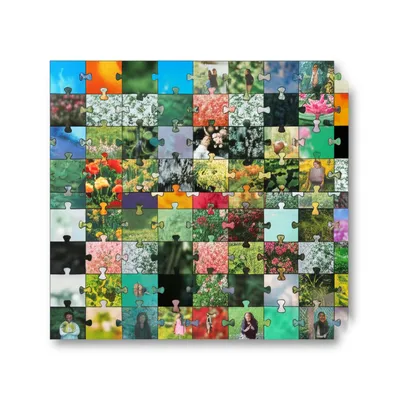 Illustration harmonized - Image 1