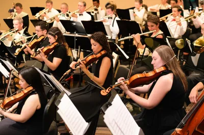 Illustration ensembles