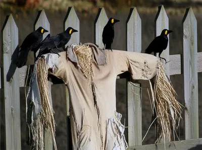 Illustration boneless - Image 1