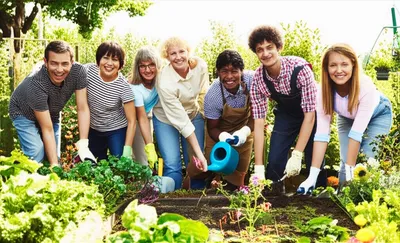 Illustration brigades - Image 1