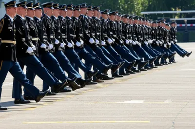 Illustration facings - Image 1