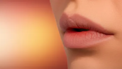 Illustration labial - Image 1