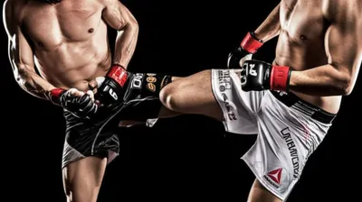 Illustration knees - Image 1