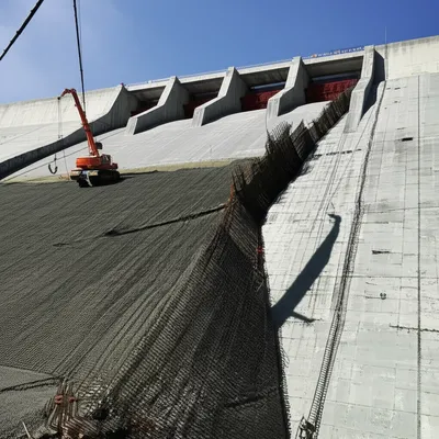 Illustration nullifies - Image 1