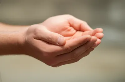 Illustration cupping - Image 1