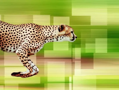 Illustration agility - Image 1