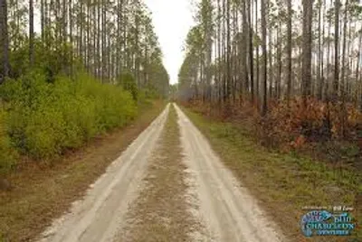 Illustration track - Image 3