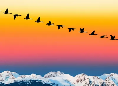 Hình ảnh minh họa southbound