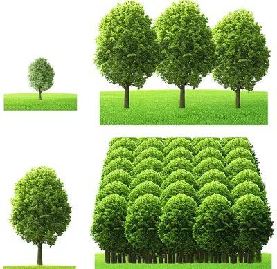 Illustration ter - Image 1