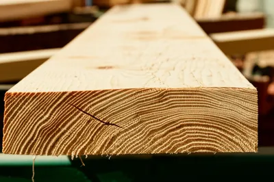 Illustration flitch - Image 1